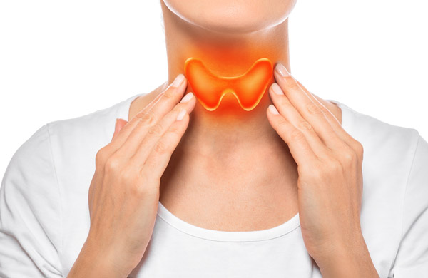 thyroid