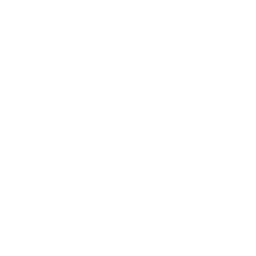 Ramp for Wheelchair Patient